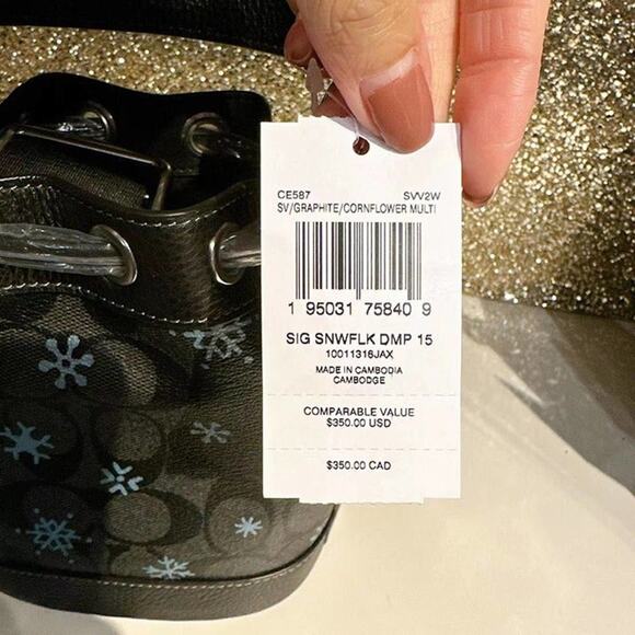 Coach CE587 Dempsey Drawstring Bucket Bag 15 With Snowflake Print Silver/Graphit - Picture 7 of 9